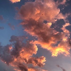 Meet your Posher, Anastasia